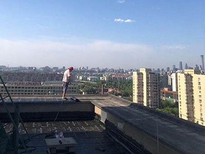 1586502549691434.jpg 71.JPG