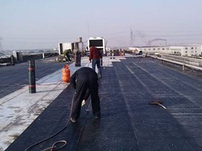 1586502763106865.jpg 86.jpg