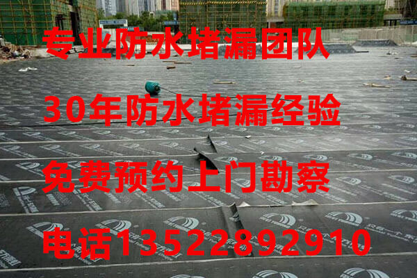 1653550349241580.jpg 50.jpg